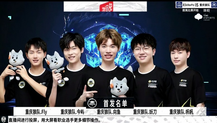 在关注球星
