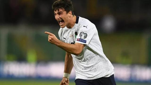 名意大利青 名意大利青